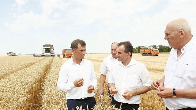 Сельское хозяйство на Кубани, фото: пресс-служба администрации Краснодарского края