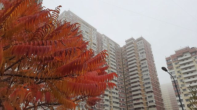 Воскресенье в Краснодаре будет туманным. Фото: телеканал «Краснодар»