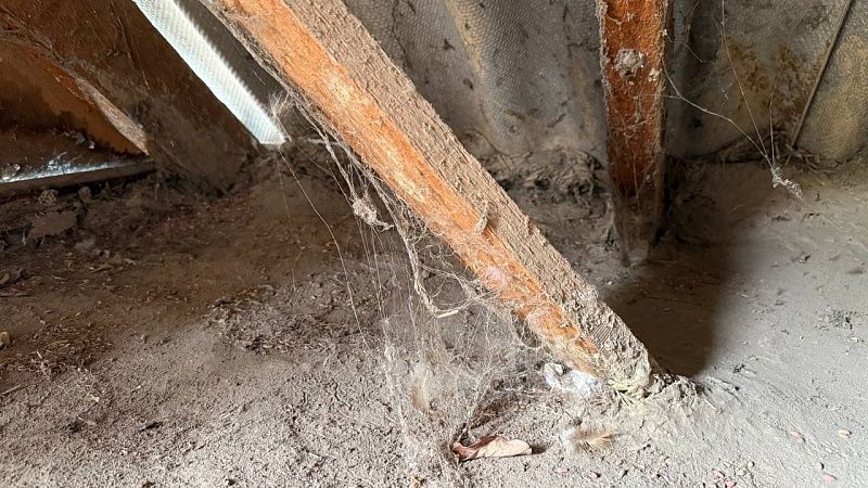 Скандальное кафе «Каспий» окончательно снесли в Екатеринбурге 