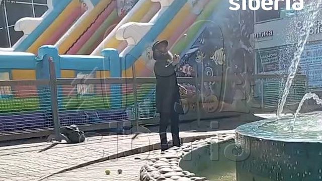 Фото:t.me/mash_siberia