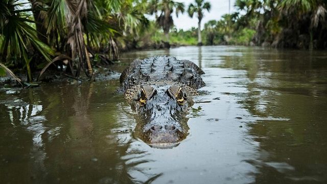 Изображение создано при помощи ИИ.