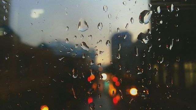 Дождь в Краснодаре / Фото: https://pxhere.com/