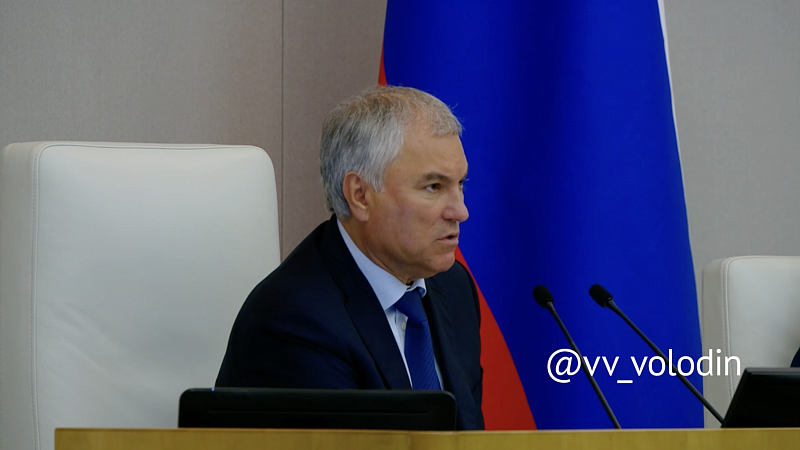 Володин: в российских школах сократилось число детей мигрантов