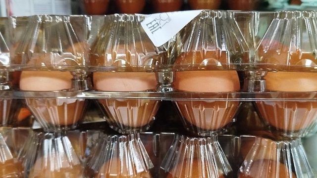 Новый репродуктор кур на птицефабрике за 2,4 млрд рублей запустили на Кубани