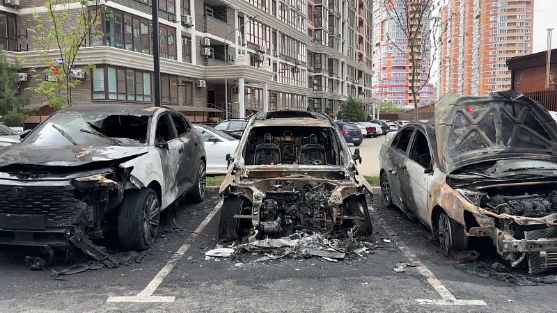 Обманутым дольщикам выдают ключи, поджог автомобилей, вакцинация четвероногих. Новости 12 мая