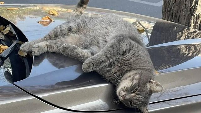 Малооблачно, ветрено и до +14°С будет 6 декабря на Черноморском побережье Кубани