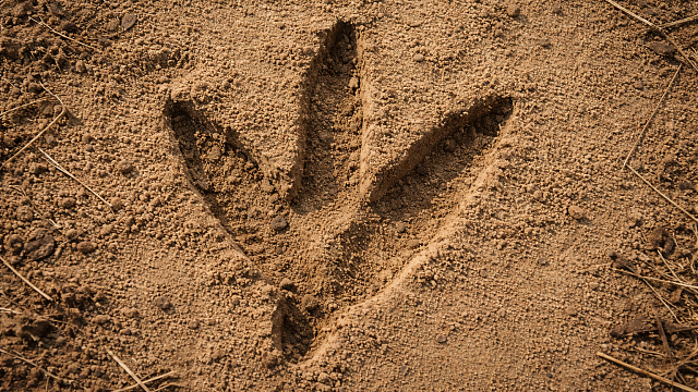 Изображение создано при помощи ИИ