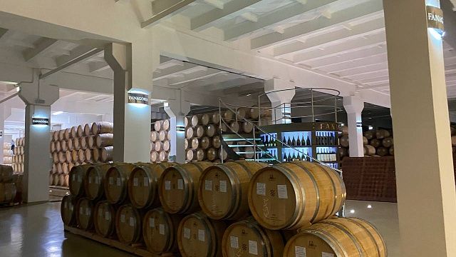 Фото: телеканал «Краснодар»