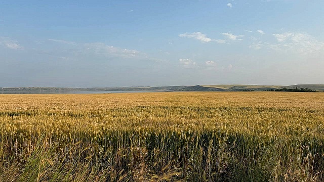 Фото: телеканал «Краснодар»