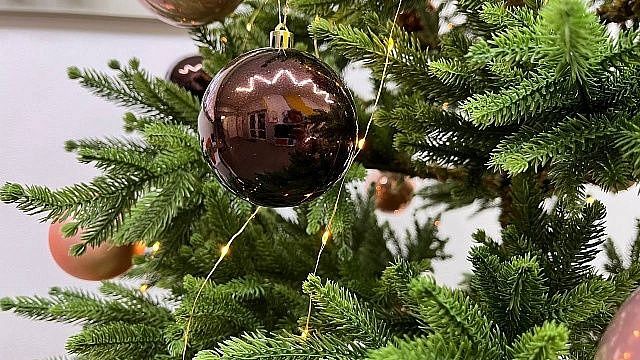 Фото: телеканал «Краснодар»