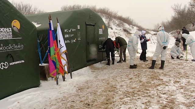 Работу начал полевой научный штаб в Анапе