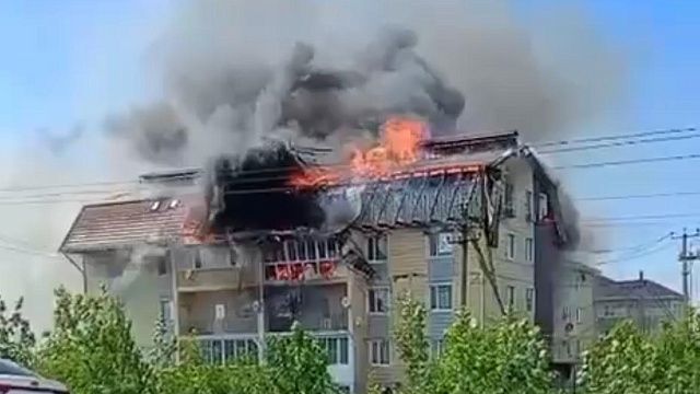 Фото: t.me/stanicastar_chat