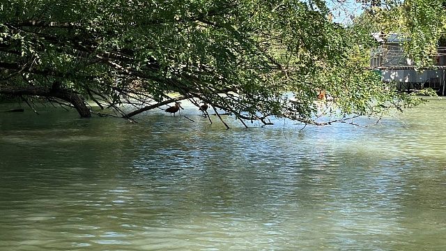 На видео сняли последствия прорыва дамбы Геджухского водохранилища в Дагестане 