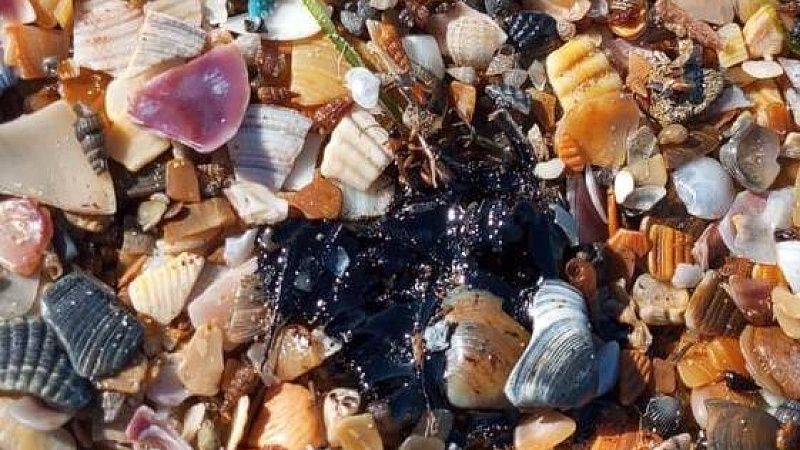 Жители курортов начали продавать мазутные сувениры из Анапы