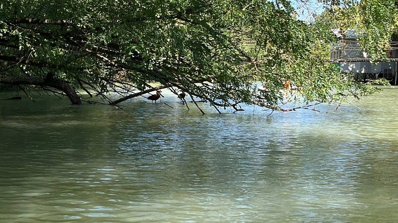 На видео сняли последствия прорыва дамбы Геджухского водохранилища в Дагестане 