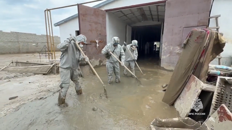 Певица Жасмин направит 250 млн рублей на помощь пострадавшим в Дагестане