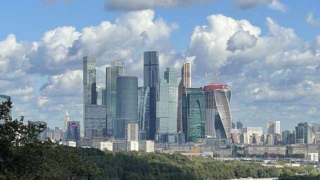 Самая массовая с начала СВО: экс-глава МИД Австрии рассказала об атаке на Москву