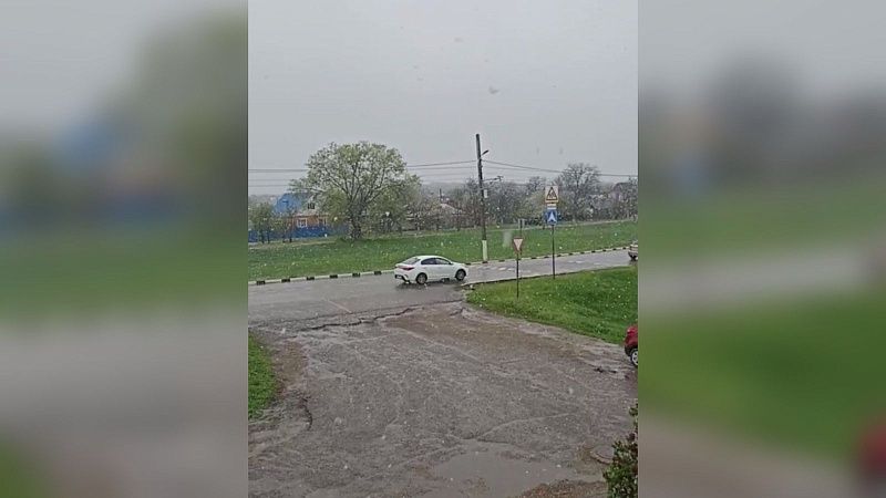 Снегопад добрался до Гулькевичского района днем 8 апреля