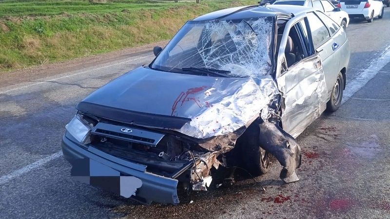 В ДТП пострадало 3 человека в Тбилисском районе