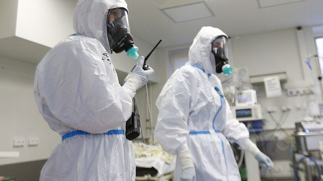 С начала пандемии на Кубань пришло больше 303 тысяч положительных ковид-тестов
