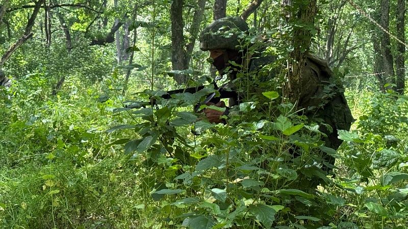 Элитный полк «Скала» уничтожили ВС РФ в боях за Новоукраинку