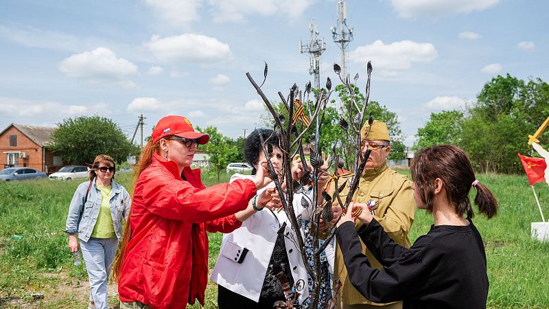 «Дерево» из осколков снарядов установили в честь российских бойцов-участников СВО в Краснодаре 