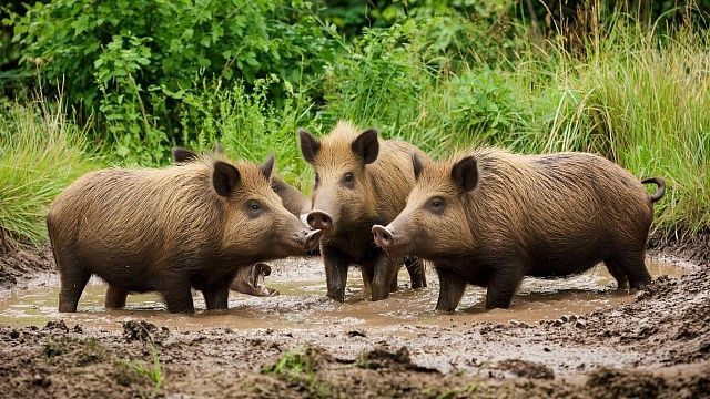 Изображение создано при помощи ИИ.