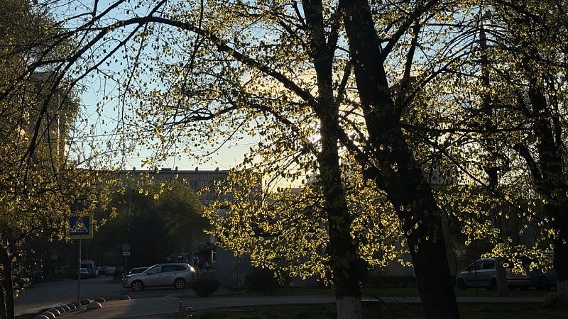Волонтеров смогут активнее привлекать к благоустройству на Кубани