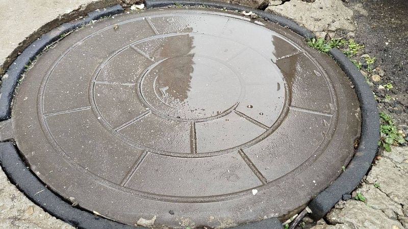 Крошечного котёнка спасали из канализации два дня в Петербурге