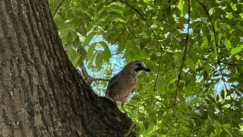 Ночная температура опустится до 6 градусов в Краснодарском крае