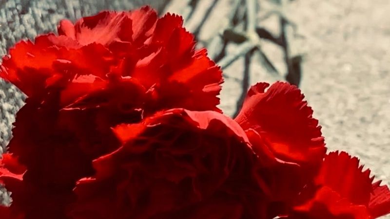 Парту Героя в честь Станислава Ржицкого открыли школе № 108 Краснодара