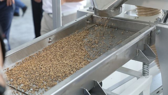 фото: пресс-служба администрации Краснодарского края