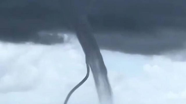 Фото: t.me/sochitop1