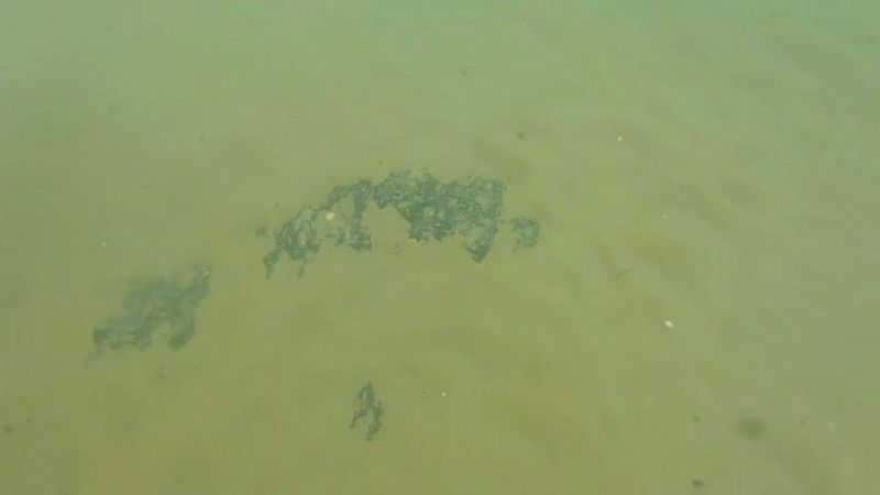 Мазутные пятна обнаружили на дне дне Чёрного моря в районе Анапы 