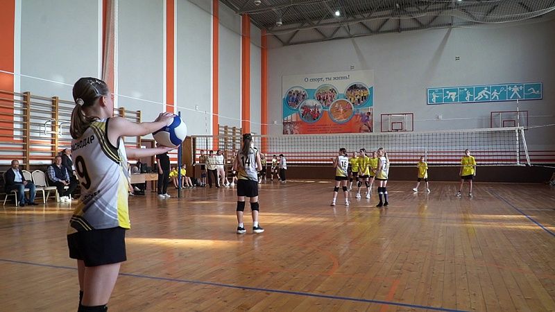 Неделя в Краснодаре 08.11.25: Столичный бюджет, Спартакиада, Связь в городе