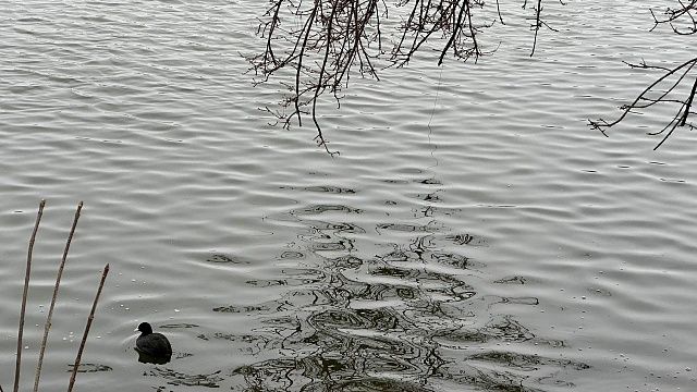 Фото: телеканал «Краснодар»