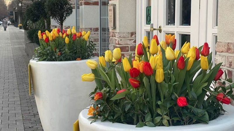 Полиция Кубани предупредила о «праздничных» схемах мошенников к 8 Марта