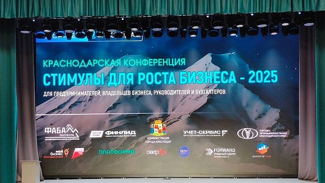 Стимулы для развития бизнеса в 2025 году обсудили в Краснодаре