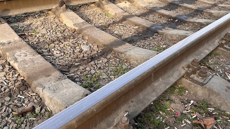 Мула сбил поезд около Ново-Александровска на Сахалине