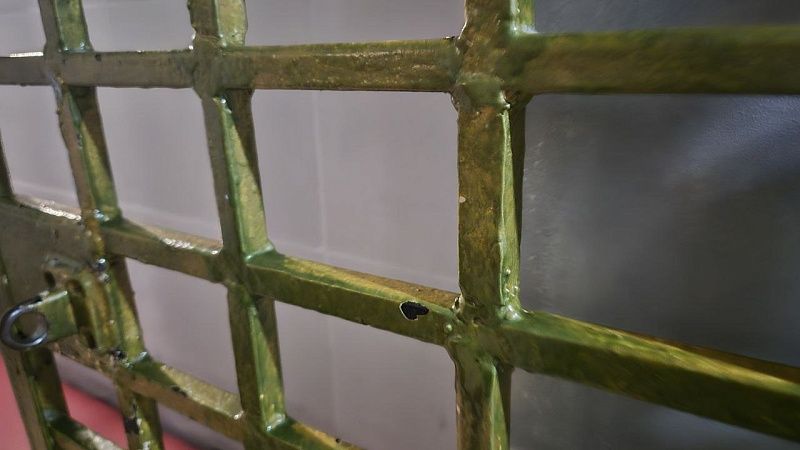 Гламурная убийца провела роскошный день рождения в тюрьме Аргентины