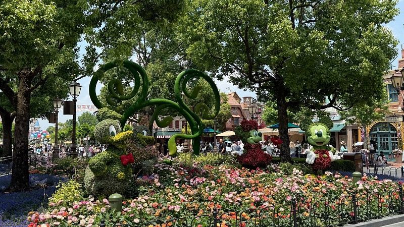 Женщина умерла после поездки на аттракционе в Диснейленде в США