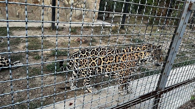 Фото: телеканал «Краснодар»