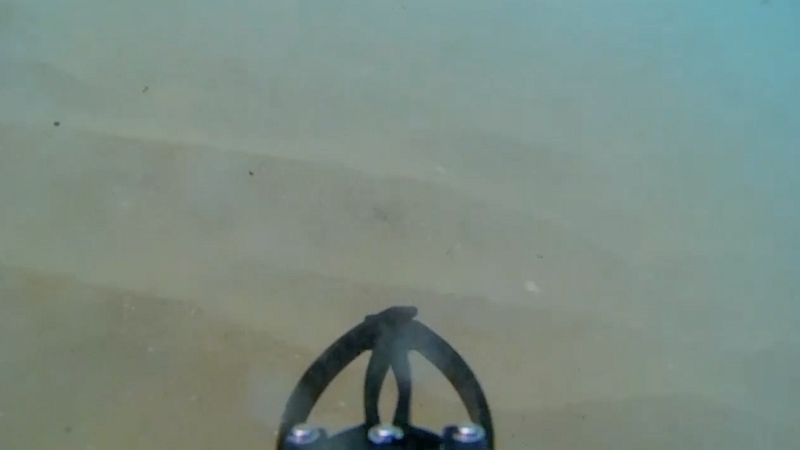 Специалисты не обнаружили следов мазута в акватории Витязево