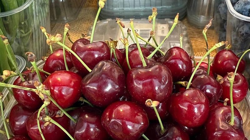 Черешня от местных фермеров появится к концу мая на Кубани