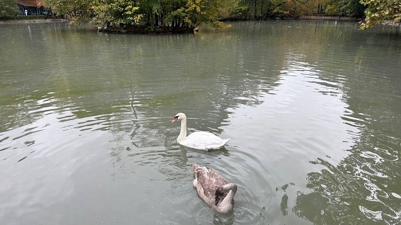 В «Императорский маршрут» вошла Кировская область