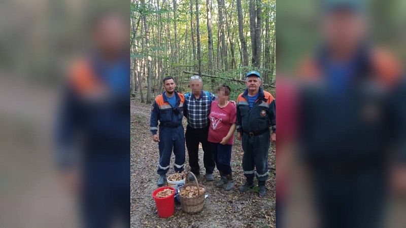 Заплутавших грибников вывели из леса с тремя вёдрами добычи на Кубани