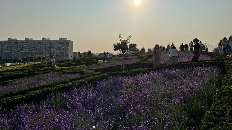 Жара в 40 градусов накроет Краснодар 