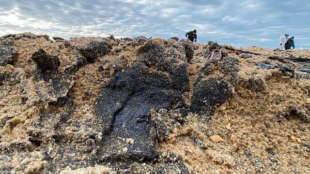 Новый способ сбора мазута применили под Анапой