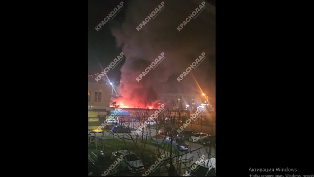 Фото: телеканал «Краснодар»