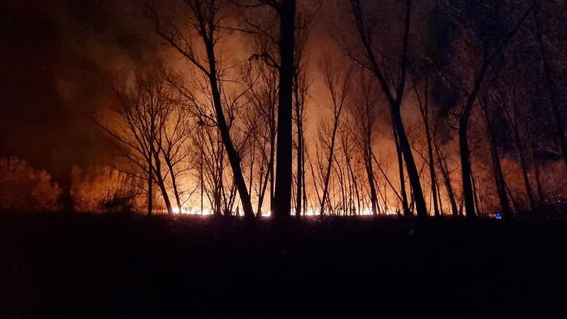 RSCHS: в Динском районе введен особый противопожарный режим